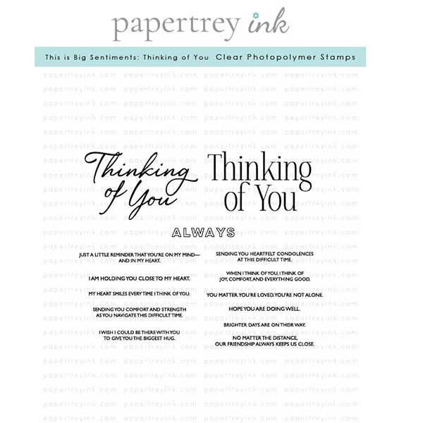 Papertrey Ink This is Big Sentiments: Thinking of You Stamp