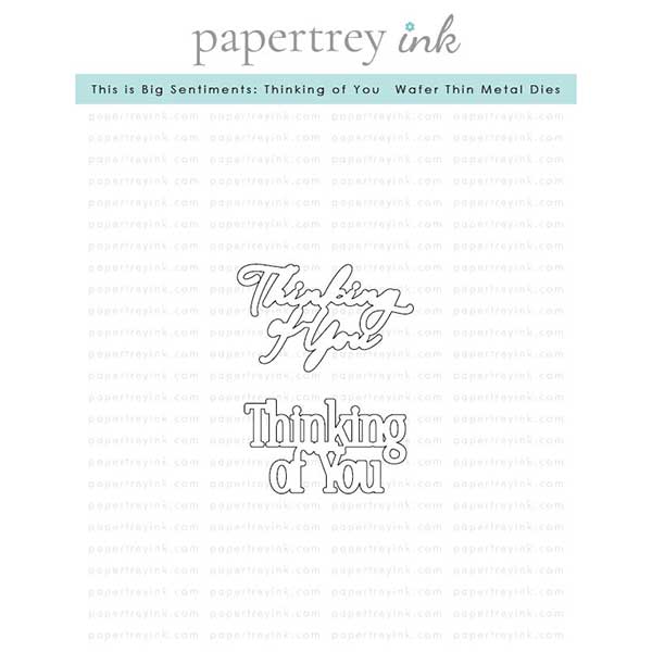Papertrey Ink This is Big Sentiments: Thinking of You Dies
