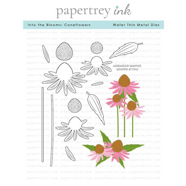 Papertrey Ink Into the Blooms: Coneflowers Dies
