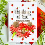 Papertrey Ink Into the Blooms: Coneflowers Dies