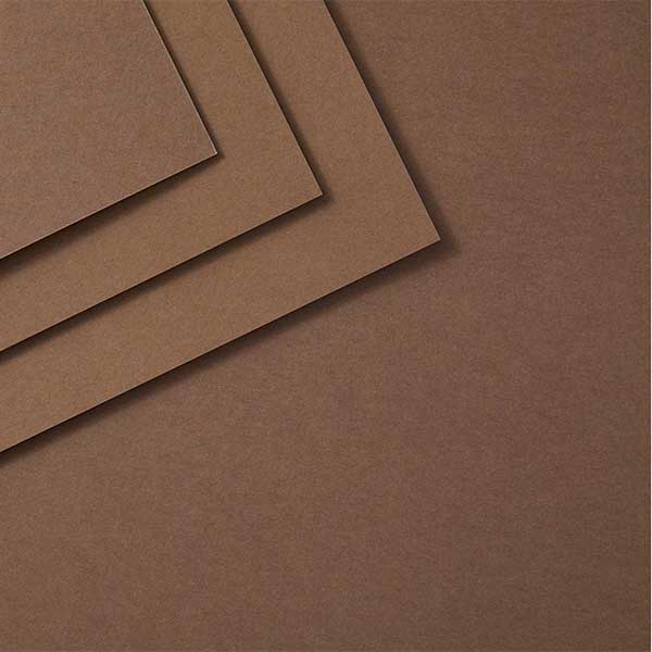 Spellbinders Acorn Colorwheel Cardstock