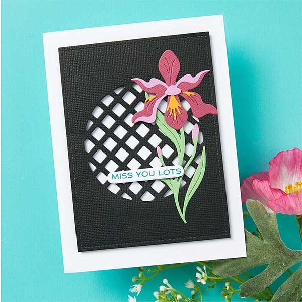 Spellbinders Stitched Edge Circle Backgrounds Etched Dies