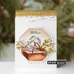 Penny Black Feathered Friends Stamp Set