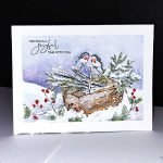 Penny Black Feathered Friends Stamp Set