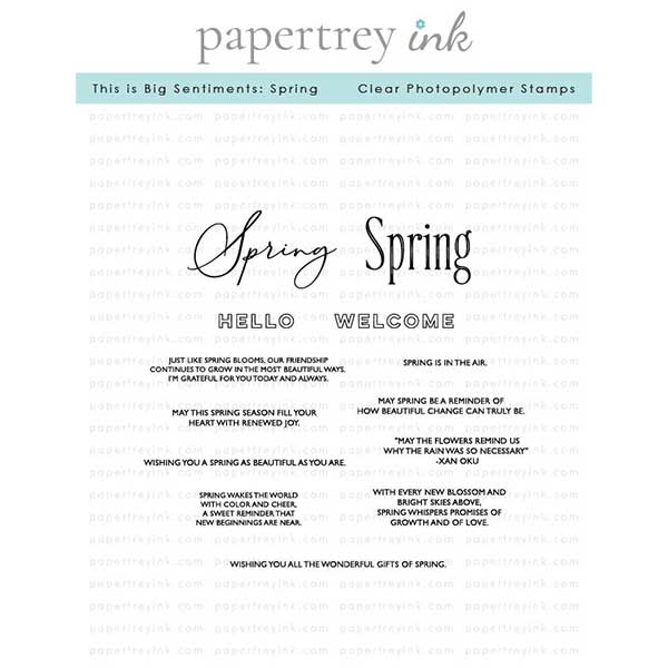 Papertrey Ink This is Big Sentiments: Spring Stamp