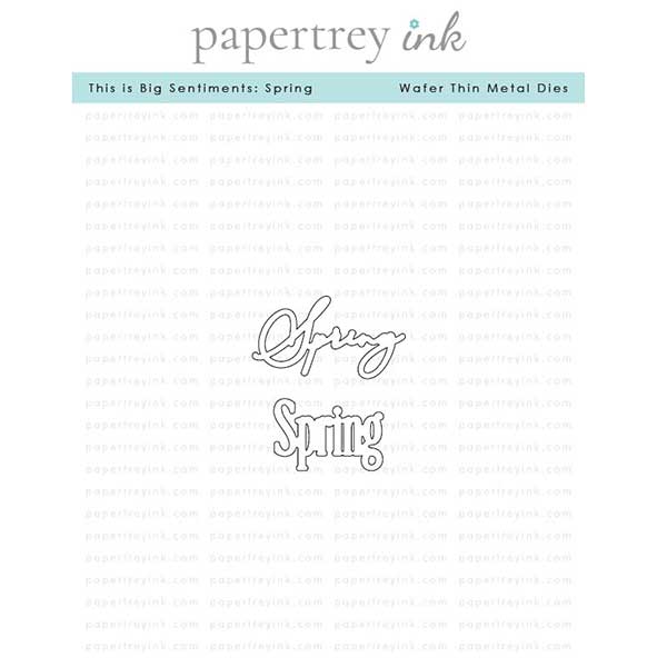 Papertrey Ink This is Big Sentiments: Spring Dies