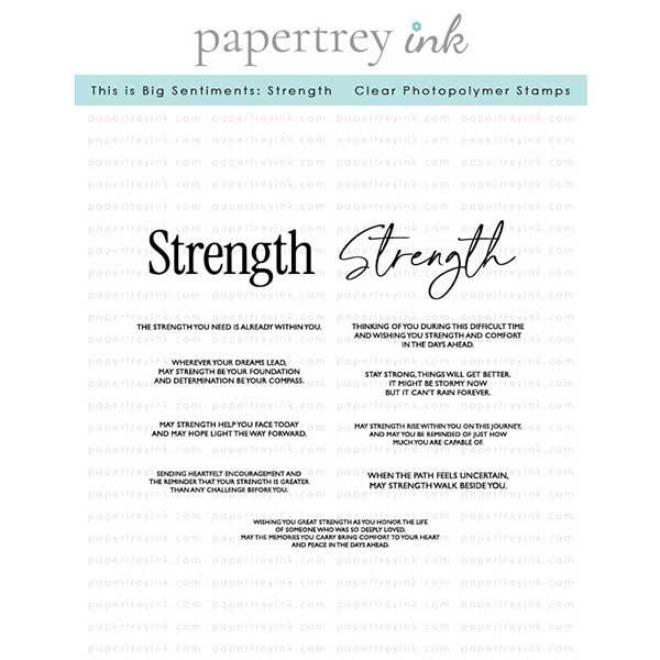Papertrey Ink This is Big Sentiments: Strength Stamp