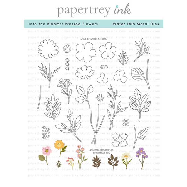 Papertrey Ink Into the Blooms: Pressed Flowers Dies
