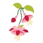 Spellbinders Magical Fuchsia Etched Dies
