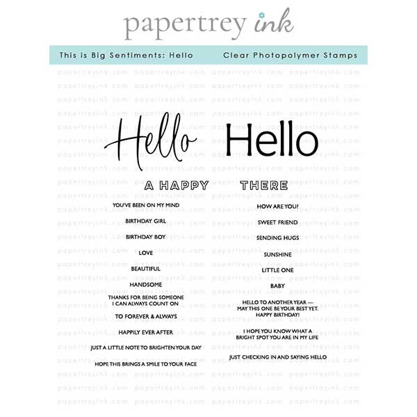 Papertrey Ink This is Big Sentiments: Hello Stamp