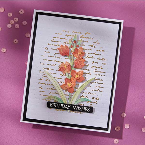 Spellbinders Script Text BetterPress Plate