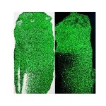 Ranger – Simon Hurley Astro Paste – Later Gator