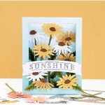 Concord & 9th Daisy Delight Dies