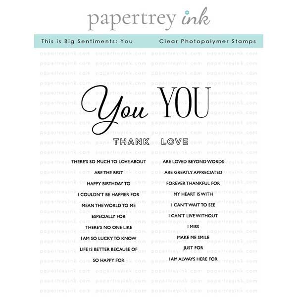 Papertrey Ink This is Big Sentiments: You Stamp