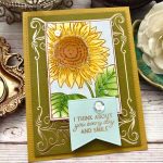 Papertrey Ink Framed in Flowers Stencil Collection